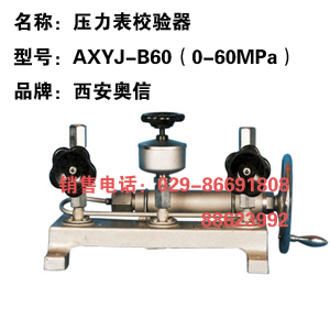 AXYJ-B60 高压校验器 压力表校验台