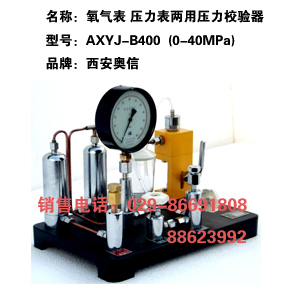 氧气表压力表校验仪 LYL-40 压力表校验器