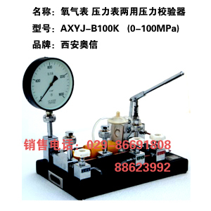 压力表氧气表两用校验器 AXYJ-B100K 压力表校验器