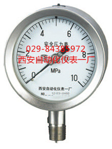  全不锈钢压力表YQHNA-107
