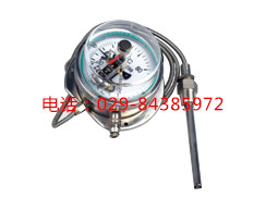  WTZ-288B-F 全不锈钢电接点温度计