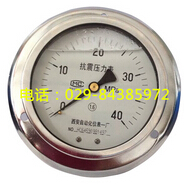 YTN-100ZT轴向带边抗震压力表 西安自动化仪表一厂