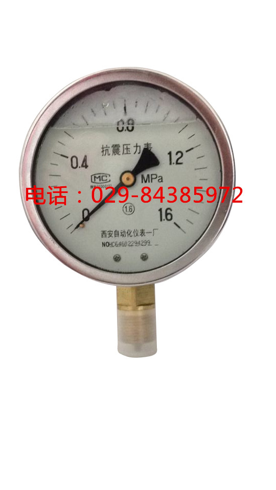 YTN-150耐震压力表西安自动化仪表一厂
