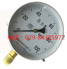 100MPa高压表Y-150