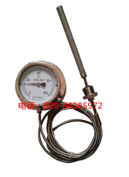  全不锈钢压力温度计WTQ-280BF