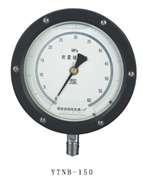 YTNB-150 抗震精密压力表