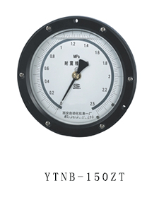 YTNB-150ZT 抗震精密 压力表