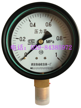 Y-100普通精密压力表 （精度等级1.0级）