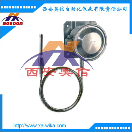 TWG温度开关 意大利Cella压力开关 cella温度控制器 