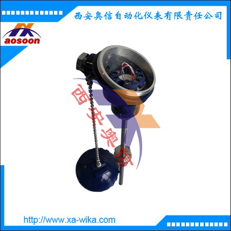 TR10-C热电阻温度计可选配护套 wika威卡温度计 