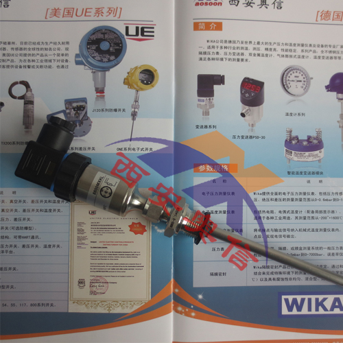TR31德国威卡温度计 TR31微型热电阻温度计