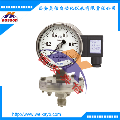 wika压力表 远传膜片式压力表 PGT43.100 德国WIKA 