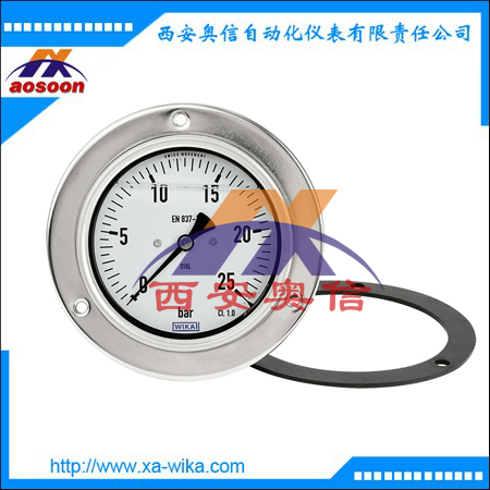 WIKA压力表 不锈钢波登管压力表PG23CP德国wika 