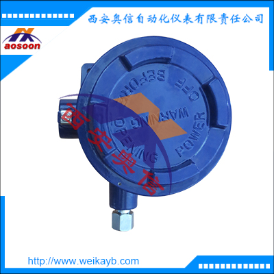 BAUS 波登管压力开关 CELLA防爆压力开关 wika开关 