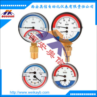 德国WIKA 轴向温度压力计100.080 