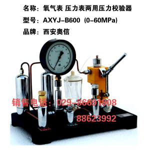 氧气表 压力表两用压力校验器AXYJ-B600 