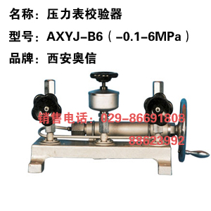 压力表校验器AXYJ-B6  真空压力校验器AXYJ-B6 