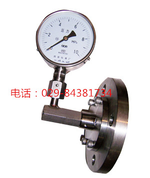 YTPF-100全不锈钢耐腐隔膜压力表 