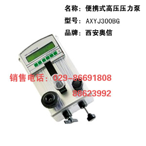 AXYJ-3000BG手持式高压压力泵 手持压力校验仪