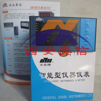 DY21B6P0P东辉大延牌智能变送控制仪 西安奥信 DY2000 