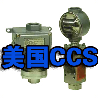 美国CCS公司介绍