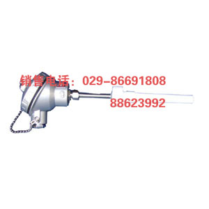 防腐热电阻WZPF-130G WZPF-230G  WZPF-430G