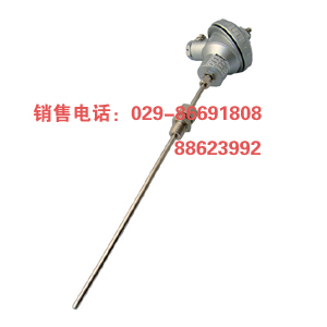 铠装热电阻WZPK-236  WZPK-224  WZPK-323 W
