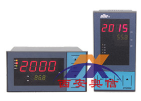 DY21G061P香港东辉大延牌DY2000光柱显示仪 