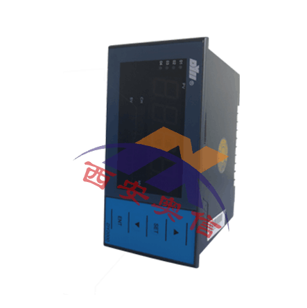 DY2000东辉温度巡检仪DY21D1608\AC85-265V东辉大延 