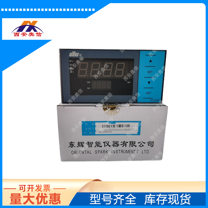 24路温度巡检仪DY21D02244M\AC85-265V东辉大延