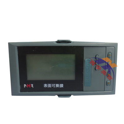 无纸记录仪 NHR-6102R 虹润记录仪 NHR-6101R 